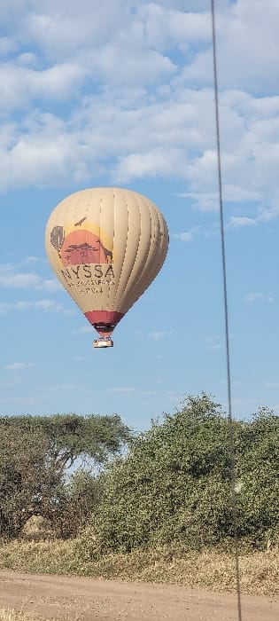 The image displays a hot air balloon in flight over a savannah landscape near Seronera, Tanzania. A large, beige-colored hot air balloon occupies the central frame, featuring a prominent logo on its side. The logo includes an orange-yellow sunset graphic with dark silhouettes of African wildlife and acacia trees, above the text "NYSSA" in large letters and "AERIAL SAFARIS" below it. A dark-colored passenger basket is visible beneath the balloon, connected by a red band to the main envelope. The balloon is positioned against a clear blue sky with scattered white cumulus clouds. The lower foreground consists of a light brown dirt track, flanked by green bushes and dry, pale grasses. A mature tree with a broad canopy is visible on the far left. A thin, dark vertical element, consistent with a vehicle's pillar or antenna, runs along the right edge of the image.