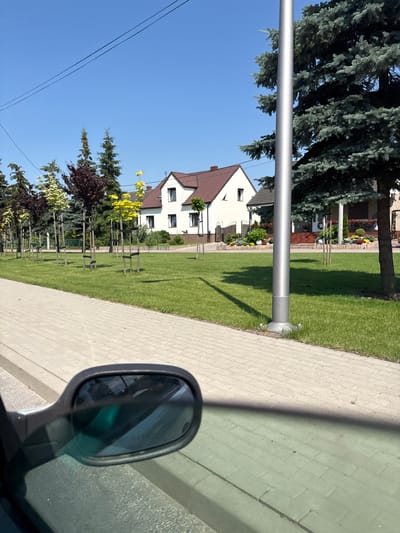 The image depicts a residential street scene in Mnichowice, Poland, on a clear, sunny day. In the foreground, a car's side mirror is visible on the left, reflecting the sky and the car's interior. Beyond the mirror, a paved sidewalk runs along a grassy area. A silver pole, likely a streetlight, stands prominently in the mid-ground, casting a shadow on the lawn. Several young trees, some with dark purple foliage and others with bright yellow leaves, are planted along the sidewalk, supported by stakes. In the background, two white houses with reddish-brown roofs are visible, surrounded by manicured lawns and decorative landscaping. The sky is a clear, vibrant blue, with two thin, dark power lines crossing the upper portion of the frame.