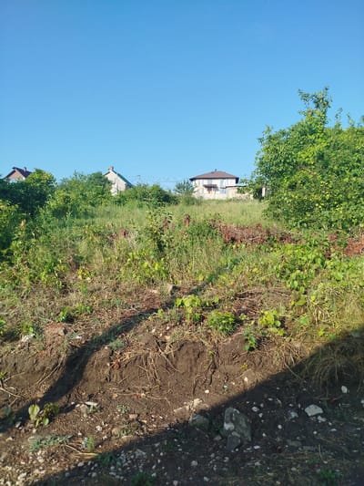 The image depicts a residential area with a clear blue sky above. In the background, two houses are visible amidst lush green trees and vegetation. The house on the left has a brown roof and light-colored walls, while the house on the right is larger, with a brown roof and stone-like exterior walls, featuring several windows. The foreground is dominated by a grassy slope with some exposed soil and scattered rocks, suggesting an undeveloped or partially developed area. The presence of trees and houses indicates a suburban or semi-rural environment within Nimoreni, Moldova. No people or ongoing activities are visible.