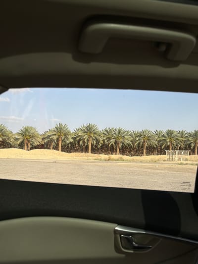 The image shows a view from inside a vehicle, likely a car, looking out the passenger-side window. On the left, there is a grab handle attached to the car's interior, and on the right, there is the inner door panel with a silver-colored door handle. Outside the window, a row of palm trees lines a road or pathway. The sky is pale blue. The location is likely the city of Arava Tichona Regional Council, Israel, based on the presence of date palm trees.
