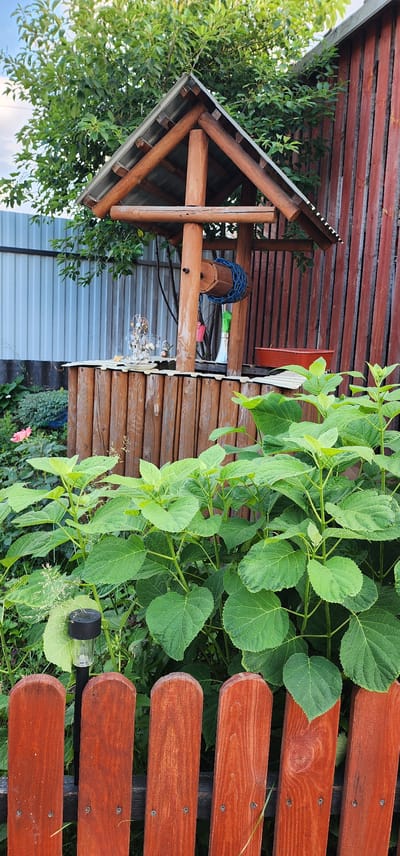 The image shows a wooden structure with a sloped roof made of metal sheets, supported by wooden beams. To the right of the structure is a garden bench with wooden slats. Lush green foliage, likely plants or bushes, surrounds the bench and the wooden structure. In the background, there is a corrugated metal wall.
On a shelf within the wooden structure, there is a wooden object with a blue rope coiled around it. Below this shelf, there are some small, light-colored stones arranged in a decorative manner. A pink flower is visible in the lower left corner of the image, and a small solar-powered garden light is placed on a leaf near the bench. The overall scene suggests an outdoor setting, possibly a garden or backyard in a rural area. The lighting suggests it is daytime, with the sun casting shadows. The wooden elements appear weathered, indicating they have been exposed to the elements. There is no visible text in the image.