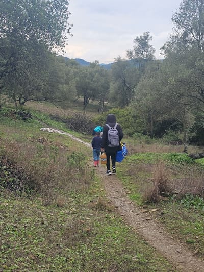 An overhead, rear-view shot captures two individuals walking along a narrow, winding dirt path in a rural, hilly area of Moqrisset, Morocco, under an overcast sky. The path, composed of dirt and small stones, is flanked by low-lying green and brown vegetation.

The leading individual, appearing to be a child, wears a light blue helmet, a dark blue long-sleeved top, light-colored pants, and red boots. A small dark blue item is visible on their back.

Following closely is an adult, dressed in a dark hooded jacket, dark pants, and dark athletic shoes with white soles. This individual carries a light grey backpack, a large clear plastic bottle containing a yellow liquid in their left hand, and a large blue fabric bag slung over their right shoulder.

The immediate surroundings feature sparse green growth and scattered dry brush. Numerous trees, primarily olive trees and other deciduous types, line the path and extend into the midground, populating the rolling terrain. Distant hills, covered in vegetation, are visible against a light grey, cloudy sky.