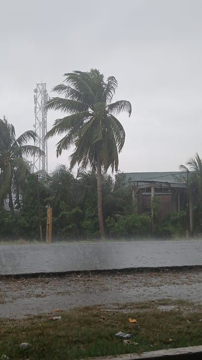 This image depicts a stormy scene in Sumbokrayek, Indonesia, characterized by heavy rain and strong winds. Tall, metallic communication towers are visible in the background, juxtaposed with lush green palm trees whose fronds are being thrashed by the wind. A partially constructed or dilapidated building with a green tiled roof stands amidst the dense foliage. The foreground shows a wet asphalt road with puddles reflecting the overcast sky. The ground adjacent to the road is covered in grass and scattered debris, indicating the harsh weather conditions. No people are present in the frame.