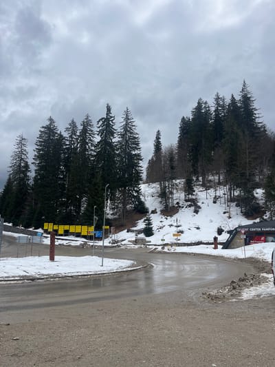 The image depicts a scene in Stoikite, Bulgaria. On the right is a paved road, partially wet, with a snow-covered shoulder. Adjacent to the road is a slope with snow patches interspersed with bare earth and trees. A dense cluster of tall evergreen trees lines the left side of the scene. Several signboards, primarily yellow, are positioned near the road. In the background is a sky covered with grey clouds. A Tourist Center Pamporovo sign is visible next to the road on the upper right part of the image.
