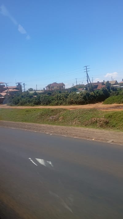 A road runs across the foreground, reflecting light. Beyond, a grassy verge transitions into dense shrubs and trees. Buildings with red roofs are visible amongst the greenery, including one with a light-brown facade. Utility poles extend into the clear blue sky.