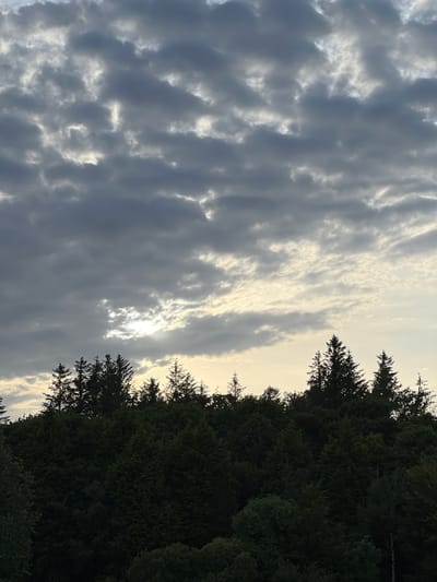 The image depicts a dramatic sky filled with dark, textured clouds on the left and lighter, wispy clouds on the right. The sun is partially visible through a break in the clouds, casting a warm glow. A dense line of dark green evergreen trees forms a silhouette along the right edge of the frame, with some individual trees extending into the sky on the left. The overall scene evokes a sense of moody, natural beauty. The time of day appears to be late afternoon or early evening, given the quality of the light and the atmospheric conditions. The presence of evergreen trees suggests a temperate climate, and the provided location context of Terhillion, Ireland, aligns with this observation. No people or specific objects are visible, and there is no visible text in the image. The activity taking place is simply the natural phenomenon of the sky and the landscape. The notable details include the contrast between the dark and light clouds, the silhouette of the trees against the sky, and the diffused sunlight. The emotions evoked are a mix of awe and perhaps a touch of melancholy due to the dramatic sky.