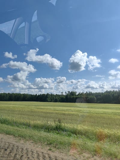 The image shows a vast, sunlit field of green crops under a bright blue sky filled with fluffy white clouds. A dense line of dark green trees forms the horizon behind the field. On the right side of the treeline, a large, light-colored rock formation is visible, partially obscured by trees. The foreground is a dirt path with sparse green vegetation. Reflections of a car's interior, including a side mirror and window frames, are visible in the upper portion of the image, suggesting the photo was taken from inside a vehicle. The scene is likely located in or near Хаценчыцкі сельскі Савет, Belarus, given the rural landscape.