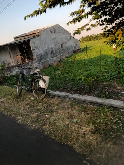 This is a medium-angle, horizontal outdoor photograph of a rural scene in Glagah Arum, Indonesia. The foreground is dominated by a black bicycle leaning on its side on a grassy verge. The bicycle has a white bucket attached to the rear rack. Behind the bicycle, a grey, slightly dilapidated concrete building with a corrugated metal roof is visible. To the right of the building and stretching into the background is a vibrant green field, likely a farm or garden, dotted with small plants. In the far distance, a person in a white shirt and dark pants can be seen walking through the field. The sky is a clear, pale blue, suggesting it is either early morning or late afternoon, with tree branches partially obscuring the top of the frame. The overall impression is one of a serene, agricultural setting.