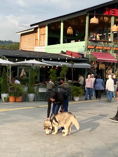 The image shows a street scene in front of a building with multiple levels, likely a restaurant or cafe, located in Pasar Pangururan, Indonesia. A husky is being walked by a person wearing a black hoodie and jeans in the foreground. Several other individuals, some wearing hijabs, are visible walking and sitting in the background. The building has a rustic architectural style with wooden elements and green accents. Outdoor seating areas with umbrellas and potted plants are also present. The lighting suggests it is late afternoon or early evening.