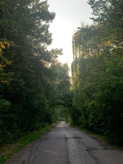 The image depicts a paved, two-lane road winding through a dense forest. The road surface is in disrepair, with numerous potholes and cracks visible. Tall trees with lush green foliage line both sides of the road, creating a canopy that partially obscures the sky. The sunlight filters through the leaves, casting dappled shadows on the road. The environment appears natural and somewhat overgrown, suggesting a rural or less-trafficked area. There are no people or vehicles visible in the image. The scene evokes a sense of quiet solitude and a journey into nature. The specific location is identified as Derevky, Ukraine.
