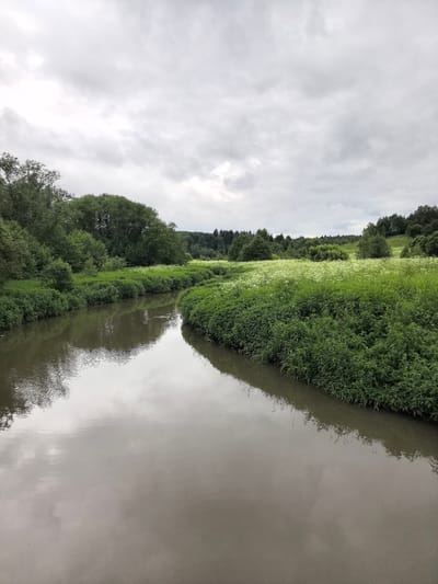 This is a landscape photograph of a winding river in a natural setting. The river dominates the foreground, reflecting the overcast sky and the lush green vegetation that lines its banks. On the left bank, dense trees create a verdant backdrop, with some branches reaching out towards the water. The right bank is covered in a thick carpet of green foliage interspersed with clusters of small white flowers, suggesting a meadow or field.
In the distance, rolling hills are visible, also covered in trees and vegetation, extending towards a tree line that forms the horizon. The sky is heavily clouded, a uniform grey, indicating a cloudy or possibly rainy day. The water appears calm, with gentle ripples on its surface, disturbed by the flow of the current and possibly a small creature, possibly a duck, that is visible in the water on the right side of the river.
The scene evokes a sense of tranquility and natural beauty. The soft light and muted colors contribute to a peaceful atmosphere. The location is identified as Leshkovo, Russia. There is no visible text in the image. The time of day appears to be daytime, given the ambient light, but the overcast conditions make it difficult to pinpoint more precisely.