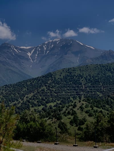 The image depicts a mountain landscape with snow-capped peaks visible in the background under a clear blue sky with scattered clouds. A dense, green, tree-covered slope dominates the midground, with a network of horizontal power lines stretching across it. The foreground features a gravelly area with a low fence and some sparse vegetation, including a pine tree on the left. The scene appears to be a natural environment, likely a rural or mountainous region. The reference to Dardar, Uzbekistan, suggests this is a location within that region.