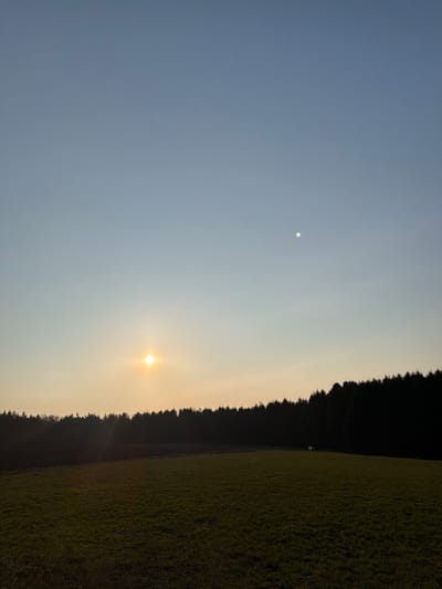 The image displays a rural landscape near Ferschnitz, Austria, under a clear sky exhibiting characteristics of sunrise or sunset. The upper sky is light blue, transitioning to a yellow-orange hue near the horizon. Two distinct celestial bodies are visible: a bright, radiant yellow-orange sun positioned low on the left horizon, partially obscured by a dark tree line, and a pale, circular, white or light-yellow orb, identified as the moon, situated higher in the upper right quadrant of the sky. A dense, dark silhouette of coniferous trees forms the horizon line, spanning across the midground. The foreground consists of two land sections: a patch of dark, tilled earth on the far left, and a dominant expanse of green grassy field covering the center and right. A small, indistinct, pale object or structure is discernible within the green field near the right edge of the treeline. No human subjects, animals (beyond the possible indistinct object), or specific actions are observed.