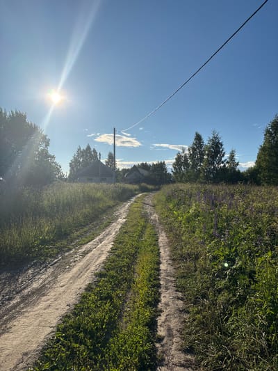 The image depicts a rural dirt road winding through a meadow on a clear, sunny day. The sun is high in the sky, casting bright rays and creating lens flare in the upper left quadrant. The road is flanked by tall green grass and wild purple flowers. In the distance, a few modest houses are visible amidst a line of trees. A utility pole and a power line stretch across the upper portion of the frame. The overall scene suggests a peaceful, summery rural landscape in the village of Ostrovskoye, Russia.