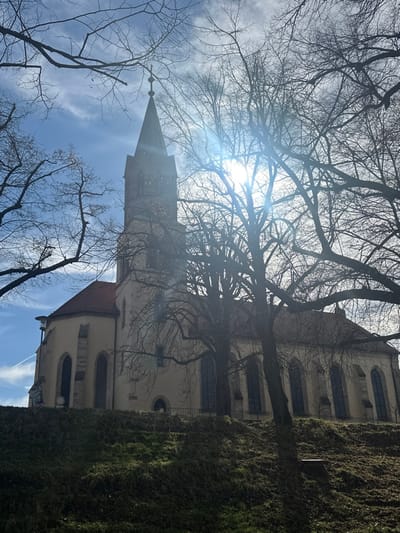 The image displays St. Andreas Church in Weißenburg in Bayern, Germany. The church, constructed with a light-colored facade and a red-tiled roof, features a prominent central steeple with a pointed spire crowned by a cross. A clock face is visible on the tower section below the spire. The building exhibits arched windows and buttresses along its length. It is situated on an elevated, grassy mound, encircled by a dark, low fence. Numerous deciduous trees with bare branches are positioned in the foreground and around the church, silhouetted against a bright, sunny sky. The sun, located in the upper right quadrant of the image, generates a significant lens flare through the tree canopy. The sky is predominantly clear blue with scattered wispy clouds, and a faint contrail is visible in the upper left. The immediate foreground consists of a grassy slope. No individuals or specific activities are depicted.