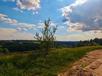 The image depicts a rural landscape under a bright, partly cloudy sky. In the foreground, a dirt path curves to the right, bordered by tall, green grass and wildflowers. A small, leafy tree stands in the middle ground, to the left of the path. Beyond the grassy field, a dense forest stretches across the horizon, with a small village visible in the distance, nestled among the trees. The sky is a vibrant blue, dotted with large, white cumulus clouds, some of which are catching the sunlight. The overall scene conveys a sense of natural beauty and tranquility, consistent with a location such as the village of Ilyinskoye, Russia.