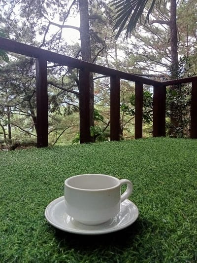 The image depicts an outdoor scene located in Kajar, Indonesia. In the foreground, a white ceramic coffee cup with a handle rests on a matching saucer. Both objects are positioned on a surface covered with artificial green turf, simulating grass. Immediately behind these objects, a dark brown wooden railing, composed of a horizontal top rail supported by several vertical balusters, extends across the midground. Beyond the railing, a dense natural environment is visible, dominated by numerous tall trees with visible trunks and branches, primarily exhibiting coniferous foliage, indicative of a forest or heavily wooded area. The sky above is largely obscured by the tree canopy and appears bright but overcast. No individuals or active interactions are present in the frame.
