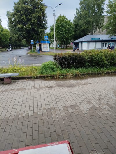 The image depicts a street scene in Vileyka, Belarus, featuring a bus stop and a small commercial building. A blue and white bus stop shelter is visible, with two individuals standing near it. A pedestrian crossing sign is also present. Across the street, a gray building with a sign that reads "СЕМЕНА" (Seeds) is partially visible, with several people near its entrance. The street appears wet, suggesting recent rain, and there are puddles on the ground near the bus stop. A paved sidewalk runs in the foreground, and a bench is situated on the edge of the sidewalk. Trees line the street, and the sky is overcast.