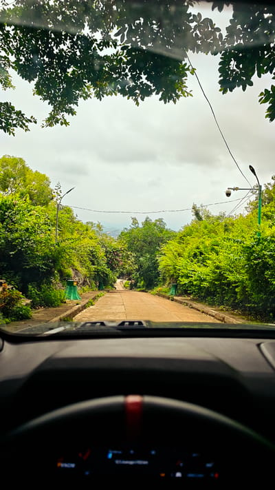The image is taken from inside a vehicle, looking out through the windshield. The foreground shows the top of a dark dashboard and a portion of the steering wheel, which has a red stripe. The road ahead is paved with concrete and curves slightly upwards. It is lined on both sides by lush green trees and vegetation. On the left side of the road, there are some steps leading upwards. Green trash receptacles are visible along the roadside at intervals. In the background, there are power lines and a security camera mounted on a pole. The sky is overcast with clouds. The scene suggests a scenic drive through a verdant area, possibly a park or a rural road. The location is identified as Tam Thanh Ward, Vietnam.