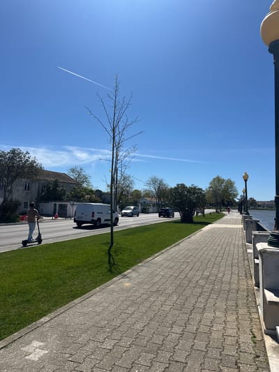 The image depicts a street scene in Seixal, Portugal. The sky is clear blue with contrails. A man rides an electric scooter along the street, next to a green grass area. A white van and other cars are parked and driving in the street. Buildings and trees line the opposite side of the road. A paved walkway with a light post runs along the right side of the image. A river or body of water is visible in the background.