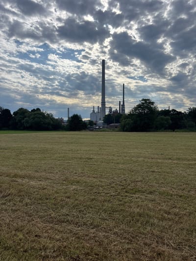 The image depicts a landscape view with an industrial facility in the background, situated in Obernburg am Main, Germany. In the foreground, a mown field of grass extends across the frame, appearing dry and with some scattered straw. Beyond the field, a dense line of trees forms a natural border. Behind the trees, a complex industrial site is visible, characterized by numerous tall smokestacks and connected buildings. The sky above is dramatic, filled with a mixture of dark and light gray clouds, with patches of blue sky peeking through. The overall lighting suggests it is daytime, possibly late afternoon or early morning due to the cloud cover. There are no people or animals visible in the scene.