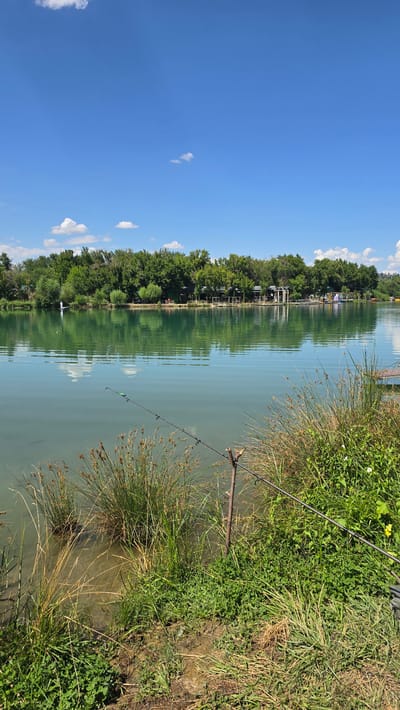 This is a photograph of a serene lake with a lush green shoreline on a bright, sunny day. The water is a clear, turquoise color, reflecting the vibrant blue sky dotted with a few fluffy white clouds. A dense line of trees forms the background, with some structures, possibly buildings or gazebos, nestled amongst them. In the foreground, tall grasses and reeds grow along the water's edge, with two fishing rods propped up by a wooden stake, suggesting someone is fishing. The overall impression is one of tranquility and natural beauty. The location is the lake in the city of Қарабұлақ, Kazakhstan.