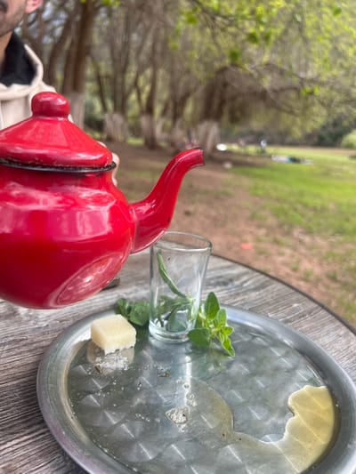 In Ait Ouaarda, Morocco, an individual is in the process of preparing tea outdoors. A partial view of a person, identifiable by a beard and a light-colored hooded top, is visible on the far left, holding a red enamel teapot. The teapot, which has a black rim and a slightly worn spout, is angled towards a small, clear glass containing green sprigs of mint or herbs. Both the glass and a light-yellow sugar cube are positioned on a round, metallic silver tray with a textured, circular pattern. Another sprig of fresh green herbs rests on the tray to the right of the glass. The tray exhibits minor liquid spills and a small, light-yellow liquid puddle on its lower right. The blurred background reveals a natural environment with lush green grass and numerous trees featuring light-colored trunks and green foliage.