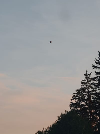 The image captures a serene sky scene, possibly during twilight, with a hot air balloon visible in the upper central portion of the frame. The sky transitions from a pale blue at the top to softer, pinkish hues near the horizon, suggesting the presence of clouds. On the right side of the image, the dark silhouettes of evergreen trees, likely conifers, dominate the foreground, extending upwards into the sky. The trees are dense and appear to be on a slight incline, hinting at a natural landscape rather than a densely populated urban environment. While the image's origin is stated to be Rieden am Forggensee, Germany, the scene itself does not contain specific landmarks or elements that would definitively confirm this location without further context. There are no people or specific structures visible that would provide additional details about human activity or the immediate surroundings. The overall impression is one of tranquility and natural beauty.