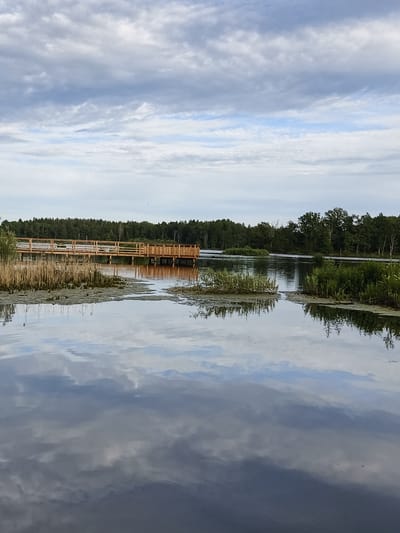 The image depicts a serene natural landscape with a wooden pier extending over a calm body of water. The pier is made of light-colored wood and has a railing. It is situated in front of a dense forest line, with tall green trees forming the backdrop. In the foreground, the water reflects the cloudy sky and the surrounding vegetation, which includes reeds and aquatic plants. The sky is filled with various shades of gray and white clouds, suggesting an overcast day. The environment appears tranquil and undisturbed. The specific location is identified as the city of Slaka, Sweden.