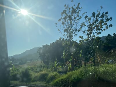 This media file depicts a bright, sunny outdoor scene with lush vegetation and rolling hills. The sun is high in the sky, casting a bright glare and visible sun flares, suggesting it is midday. The sky is clear and a light blue.

The foreground is dominated by tall, green grass and several trees. Among the trees are banana plants with their characteristic large leaves. In the mid-ground, there is a gently sloping field with some evidence of cultivation, possibly agricultural land. Further in the background, a series of undulating hills rise, covered in a mix of trees and vegetation, fading into a hazy distance.

The scene appears to be in a rural area. The presence of banana trees and the general landscape are consistent with a tropical or subtropical location. Without specific landmarks, pinpointing the exact location is difficult, but the setting is peaceful and natural. There are no people or specific objects clearly visible that would indicate a particular activity or event. The overall impression is one of natural beauty and tranquility under a strong sun. The image seems to have been taken through a window, as there are slight reflections or smudges visible on the surface.

Based on the provided location context, this scene is likely Prupuk Selatan, Indonesia, a place known for its natural landscapes. The bright sunshine indicates fair weather, typical of the region. The time of day is clearly midday or late morning due to the intensity and angle of the sun.