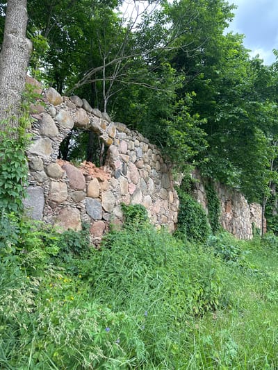 An old, dilapidated stone wall made of large, irregularly shaped rocks stands in a lush, overgrown natural environment. The wall is partially covered in green ivy, and a large, arched opening is visible in the center, revealing trees and foliage behind it. The wall appears to be made of rough-hewn stones with varying textures and colors, ranging from gray to reddish-brown. In front of the wall, a dense growth of tall green grass and various plants, some with small yellow flowers, dominates the foreground. Trees with dense green foliage form a canopy over and behind the wall, suggesting a wooded or park-like setting. The overall impression is one of decay and nature reclaiming an abandoned structure. The image is taken from a ground-level perspective, looking up towards the wall and the trees. This scene is located in the vicinity of Хаценчыцкі сельскі Савет, Belarus. There are no people or animals visible in the image.