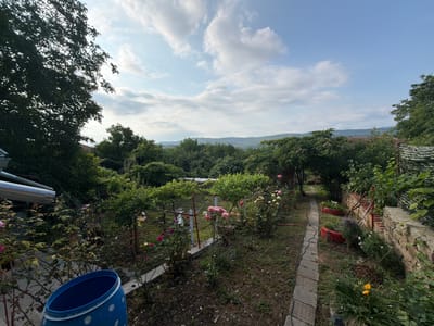 The image depicts a view of a garden in Gorno Pavlikene, Bulgaria. A stone path runs along the right side of the frame, bordered by a low stone wall and a fence constructed with camouflage netting on the right. The garden features a variety of plants and flowers, including rose bushes with pink and white blooms, and grapevines trained on trellises. In the foreground on the left, a blue plastic barrel with white polka dots is visible. Beyond the garden, a lush green landscape of trees and hills stretches into the distance under a partly cloudy sky. The overall scene suggests a tranquil, rural setting.