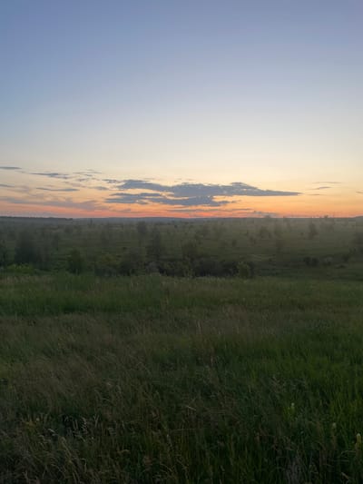 This is an image of a natural landscape at dusk, likely in Syzran, Russia, given the context. The sky transitions from a pale blue at the top to shades of orange and yellow near the horizon, indicating the setting or rising sun. Scattered clouds are visible, catching the warm hues of the twilight. Below the sky is a vast, open field with scattered trees and shrubs, appearing somewhat sparse and possibly cultivated or naturally grown. The foreground is dominated by tall, dry grass, which is swaying slightly, suggesting a gentle breeze. The overall atmosphere is serene and peaceful, characteristic of a rural or natural setting during the transitional hours of the day. There are no people or specific man-made structures readily identifiable in the image, besides what might be distant utility poles or very subtle structures on the horizon.