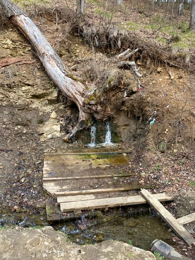 The image depicts a wooded area with a small waterfall in Pepelyshi, Russia. The waterfall is formed by water flowing over a rocky cliff face. A fallen tree trunk lies partially across the cliff face and the path next to the stream. A makeshift wooden bridge spans the stream adjacent to the waterfall. The surrounding ground is covered with leaves and small stones. There is visible erosion on the cliff face. Debris, including plastic, is visible in the brush above the waterfall.