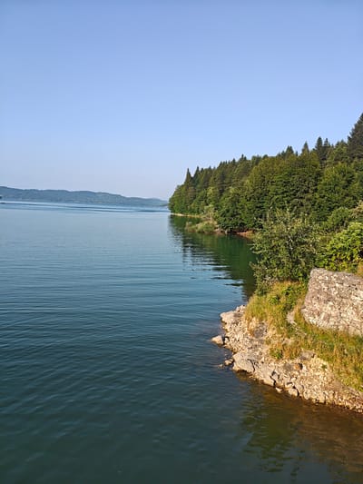 The image depicts a serene lake surrounded by lush green trees and rolling hills under a clear blue sky. In the foreground, a rocky shoreline leads into the calm, rippling water. The dense forest covers the land to the right of the lake, creating a natural barrier. In the distance, a range of hills forms the horizon. The scene appears to be a natural landscape, potentially a reservoir or a large lake in a mountainous region.