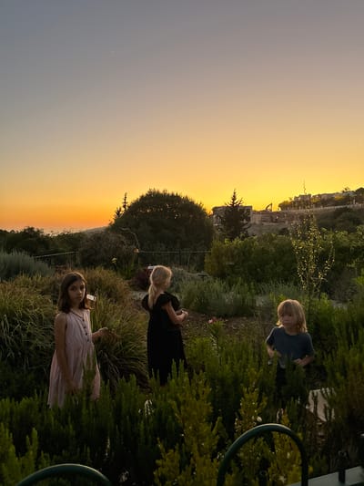 The image captures a serene sunset scene in Kfar Vradim, Israel, with three children immersed in a lush garden setting. On the left, a young girl with dark hair stands facing forward, adorned with a pink dress and a pearl necklace, holding a small bundle of greenery. To her right, a second girl in a black dress is seen from behind, her blonde hair tied in a braid. In the foreground on the right, a third child with blonde hair and wearing a blue t-shirt looks towards the viewer. The background reveals a vibrant orange and yellow gradient sky, characteristic of a sunset, with silhouetted trees and distant buildings nestled on a hillside. The garden itself is abundant with various plants and foliage, creating a sense of depth and natural beauty. The overall atmosphere is tranquil and picturesque, hinting at a peaceful evening in this Israeli locality.