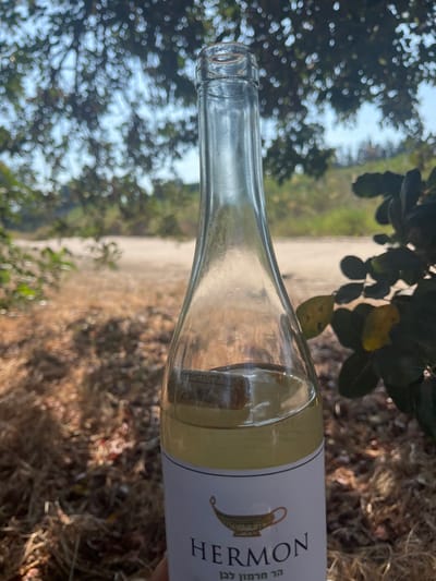 A clear glass bottle, partially filled with a light yellow liquid and containing a cork floating within, is held by a hand in an outdoor setting in Kfar Vitkin, Israel. The bottle's white label displays "HERMON" in black capital letters, a golden ancient lamp emblem, and Hebrew text reading "הר חרמון לבן" (Mount Hermon White). The background is blurred, showing dappled sunlight filtering through green foliage on the left and upper sections, dry brown ground cover, and an open, lighter-toned field or expanse with distant greenery under bright daylight.