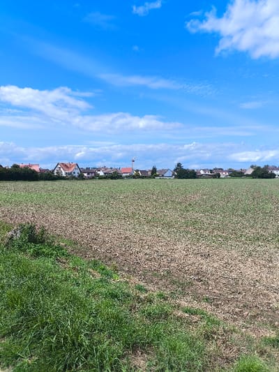 The image presents an open field bordering a residential area in Oberschaeffolsheim, France, under a bright blue sky with scattered white cumulus clouds. The foreground features a strip of dense green grass on the left, transitioning into a large, cultivated field that occupies the majority of the lower frame. This field displays tilled light brown soil interspersed with very sparse, low-lying green vegetation. In the background, a row of residential structures, predominantly two-story houses with varied roof colors including red, white, and brown, is visible. Green trees and other foliage are present among and behind these buildings. A prominent yellow and white construction crane stands above the rooftops in the background, slightly right of center. The scene is static, with no visible people, animals, or active objects.