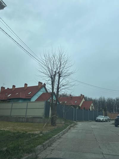 The image shows a street in Yurivka, Ukraine (50.332, 30.371). The street is paved with concrete and bordered by houses with red roofs and grey fences. A bare-branched tree stands in the foreground. The houses are two stories tall and have windows. Several vehicles, including a white car and a black car, are parked on the street. There is a line of trees in the background. The sky is cloudy. The photo appears to have been taken in the winter or early spring.