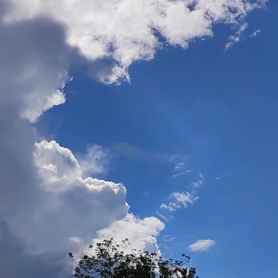 The image depicts a clear blue sky with dynamic cloud formations on a bright day. A large, dark cloud mass dominates the left side of the frame, with lighter, puffy cumulus clouds extending towards the center and right. Thin, wispy clouds are scattered in the upper right quadrant. At the bottom of the image, the dark silhouettes of tree branches and foliage are visible against the bright sky. A small, dark object, possibly a bird or insect, is visible in the lower left area of the sky. The scene is set outdoors with no discernible urban elements, suggesting a natural or rural environment. There is no information available to specify the location within Vatagi, Russia.