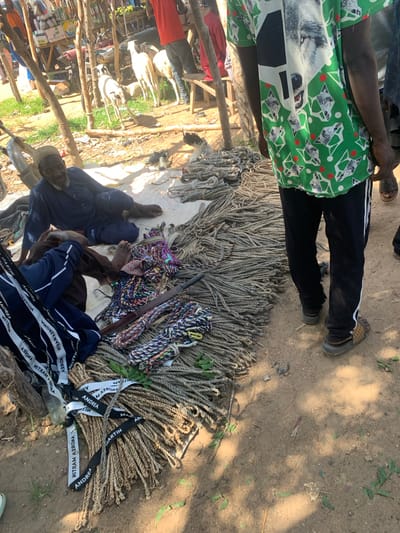 This image captures a scene at what appears to be an outdoor market or gathering, possibly in Nigeria, given the project context. The foreground is dominated by a large pile of coiled ropes of various sizes and colors. Some are thick and natural-toned, while others are thinner and brightly colored in patterns of blue, purple, and white.
Interspersed with the ropes are black and white fabric strips with text printed on them. The visible text includes words like "ANDREA," "MARTIN," and "MITRAM," repeated multiple times, some in reverse.
Several people are present. In the upper part of the image, a person is seen wearing a green t-shirt with a wolf print and black pants with white stripes. Their legs and feet, clad in sandals, are visible. Further down, two individuals are seated amongst the ropes, their legs bent. One is wearing dark blue pants with white stripes, and the other is in dark blue pants and a dark shirt. Their faces are partially visible, but their expressions are not distinct.
In the background, a wooden structure is visible, suggesting stalls or shelters typical of a market. Goats and possibly other livestock can be seen behind this structure, indicating a rural or semi-rural setting. The ground is dusty and sandy, with patches of dry leaves and sparse vegetation. The lighting suggests it is daytime, with shadows indicating the sun's position. The overall atmosphere seems relaxed, with people possibly resting or attending to the merchandise.