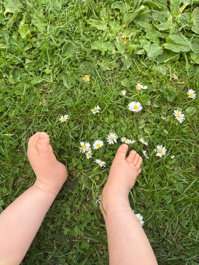 This is a top-down shot of a baby's bare feet resting on a patch of green grass with daisies. The baby's feet are fair-skinned and dimpled, with tiny toenails visible. The grass is lush and healthy, with numerous small white daisies scattered throughout. The image appears to be taken outdoors in a park or garden, possibly in Wakefield, United Kingdom, during daylight hours. The focus is on the feet and the flowers, creating a serene and naturalistic scene.