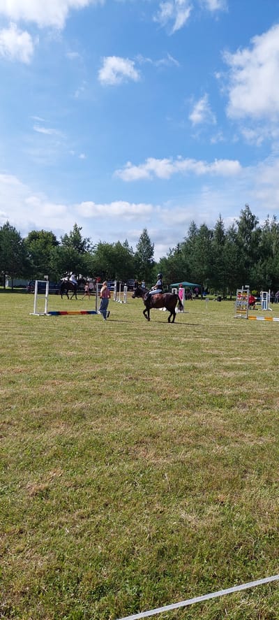 In Berniūnai, Lithuania, under a blue sky with scattered white clouds, a horse show is underway. In the foreground, a person on a dark brown horse is moving from right to left, with the horse in a canter. The rider is wearing a white helmet and a light-colored shirt. To the left of the horse, a person in a pink top and blue pants is running towards the horse, appearing to be a handler. Behind them, a horse with a rider in a white helmet and shirt is seen. Further in the background, several colorful jump standards and fences are set up on a grassy field. A line of trees forms a backdrop behind the event. The overall scene depicts an outdoor equestrian competition.