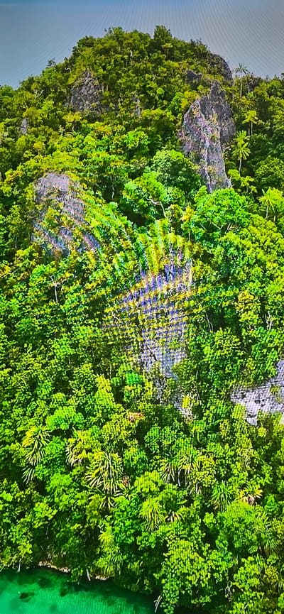 The image displays an aerial view of a lush, green, densely forested tropical island. Towering rock formations are partially visible through the thick vegetation. Palm trees and various other types of trees and foliage cover the island's terrain, which appears to be hilly and mountainous. The water at the bottom of the frame is a vibrant turquoise color, suggesting it is a clear, tropical sea. There is no indication of human presence or any structures. The image is taken from a high vantage point, likely an aircraft or drone. This scene does not depict Lippstadt, Germany, which is an inland city with a predominantly temperate climate and agricultural landscape.