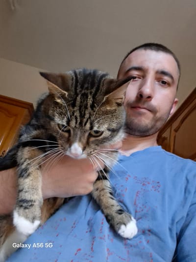 The image shows a close-up, selfie-style shot of a man holding a tabby cat. The man is wearing a blue t-shirt with some red splatters on it. The cat is being held in his arms and its face is prominently featured. The background appears to be an indoor setting, possibly a room in a house, with wooden cabinetry visible. The lighting suggests it is daytime. There is no indication of the location being in the city of Greater London, United Kingdom.