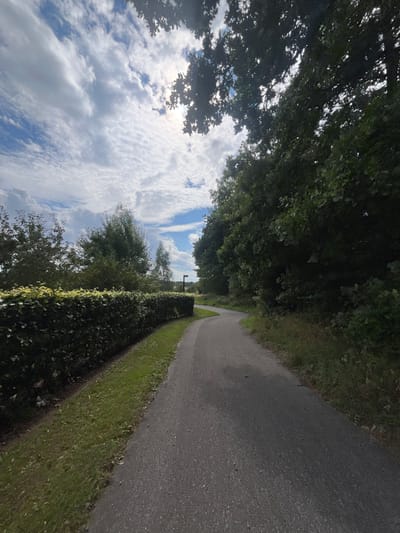 The image displays a paved path winding through a natural setting in Skanderborg, Denmark. The dark grey asphalt path occupies the lower and central portion of the frame, curving gently to the right as it recedes into the mid-ground. On the left side of the path, a well-maintained, dense green hedge is bordered by a strip of mown grass, beyond which various trees and shrubs are visible. On the right side, a thick line of mature trees with dark green foliage casts shadows onto the path, with untamed undergrowth immediately adjacent. In the mid-distance, on the right side of the path where it curves, a dark, upright rectangular post with a lighter top is discernible, appearing to be a signpost or lamppost. The sky, filling the upper half of the image, features a mix of blue patches and numerous white clouds, with sunlight partially obscured by clouds and the tree canopy, indicating bright conditions. No individuals, animals, or vehicles are present.