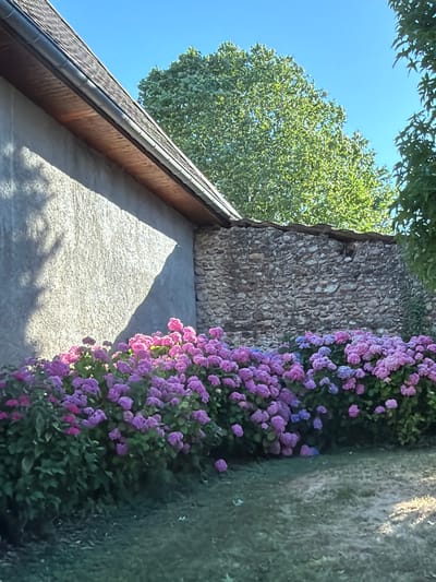 This media file captures an outdoor scene with a focus on a house and its surrounding vegetation. The house features a sloping roof with visible shingles and wooden eaves, bordering a textured wall constructed from grey stones. Adjacent to the stone wall, a vibrant line of purple and pink flowers, likely hydrangeas, is in full bloom, cascading downwards. To the left of the house, a large, leafy green tree stands tall against a clear blue sky, suggesting fair weather. The lighting indicates it is daytime, with shadows cast on the house wall from the surrounding foliage, possibly suggesting late afternoon sun. The scene appears peaceful and tranquil, evoking a sense of a serene countryside setting. While no people are visible, the presence of a house and cultivated flowers suggests a domestic or residential location. The crops provide closer views of the stone wall, the colorful flowers, and the rooftop, confirming these details. The location context provided is Villages du Lac de Paladru, France, which aligns with the picturesque, rural aesthetic. There is no visible text in the image.