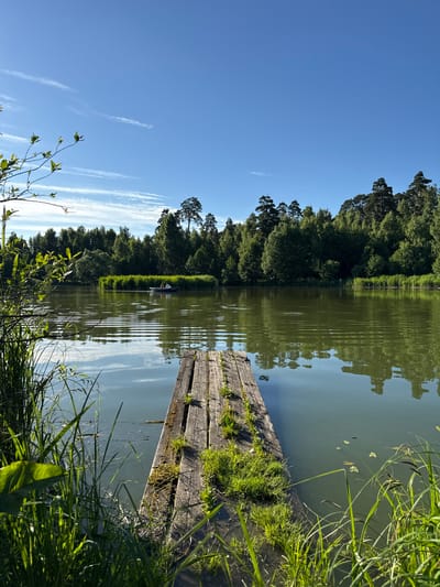 In the city of Sloboda Staraya, Russia, a serene natural landscape unfolds under a clear blue sky with wispy white clouds. The foreground features a rustic wooden pier, weathered and mossy, extending into a tranquil body of water. Lush green grass and reeds grow along the edges of the pier and the water's edge. The calm lake reflects the vibrant green trees and the bright sky. In the middle ground, a small boat with two occupants glides across the water, passing by a dense growth of reeds. The background is dominated by a thick forest, with a mix of deciduous trees and tall pines, creating a natural border against the horizon. The overall scene depicts a peaceful, sunlit day by the water, ideal for outdoor recreation.