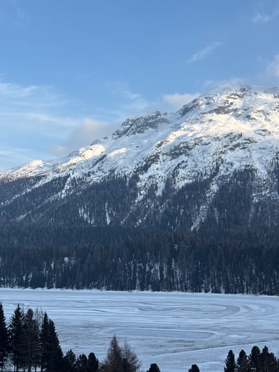 The image displays a panoramic winter landscape in Sankt Moritz, Switzerland, specifically featuring a view across a frozen body of water, identifiable as Lake St. Moritz, towards snow-covered mountains. The upper portion of the frame shows a clear blue sky with sparse, wispy white clouds. Directly beneath, a large mountain range rises, its peaks and upper slopes heavily covered in white snow, with some areas illuminated by direct sunlight. Below the snowline, a dense, dark conifer forest extends down the mountainside, forming a distinct band between the snow and the frozen lake. The middle ground is occupied by the expansive frozen surface of Lake St. Moritz, exhibiting varied textures of ice and snow. Distinct curved and concentric patterns are visible on the ice, suggesting tracks from vehicles or activities. The immediate foreground features the tops of several dark green conifer trees, partially obscuring the nearest edge of the frozen lake. No individuals, animals, or man-made structures other than potential tracks on the ice are visible. The scene suggests a cold, clear day.