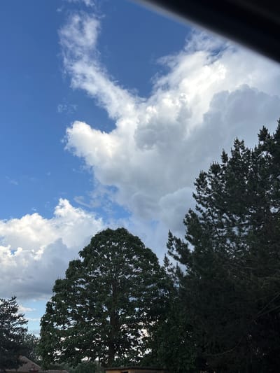 The image shows a view towards the sky, partially obstructed by trees and a dark object at the top left, possibly part of a car. The sky is blue with numerous white and gray clouds. The trees on the right appear to be leafy. The image's angle is tilted. It's impossible to verify that this image was taken in Morava, Bulgaria. The provided image contains no other information about the location.